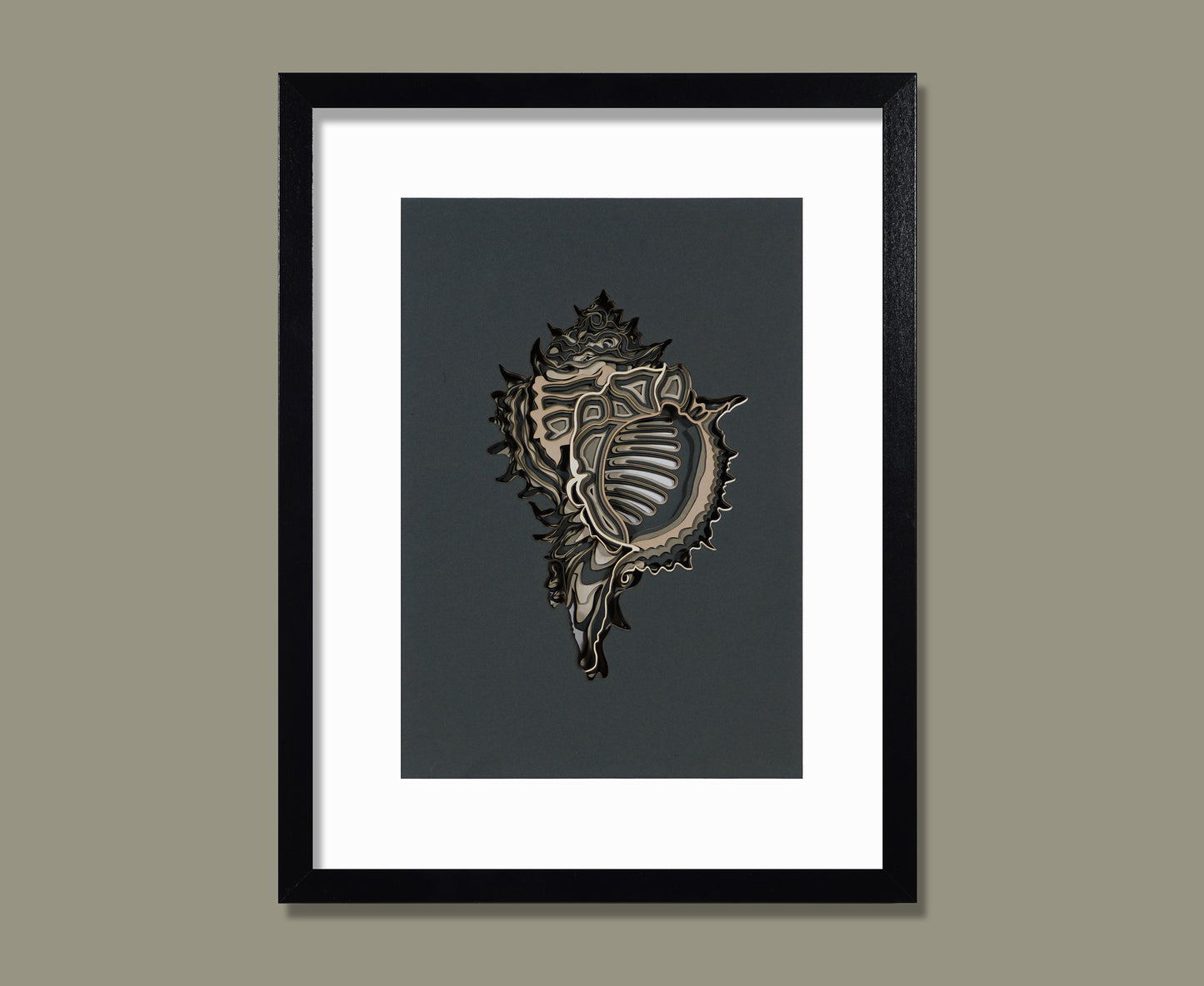 202 CONCH SHELL